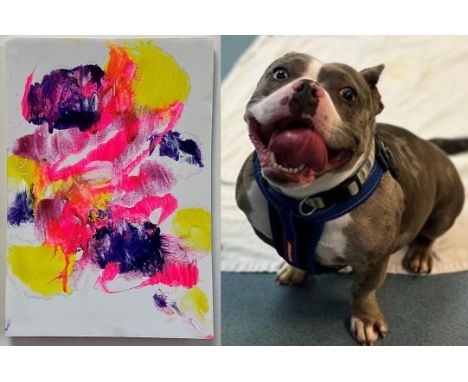 Lola 
&lsquo;Summer At The Park&rsquo;


Lola is an American Bulldog and has been at the centre since August. When painting t