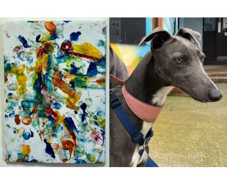 Seth
&lsquo;Banana Dreams&rsquo; 


Seth was at Bristol Animal Rescue Centre for 23 weeks. He has now been adopted into his f