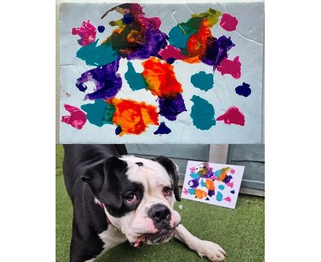 Trevor
&lsquo;Should I Give Up, Or Should I Just Keep Chasing Tennis Balls?&rsquo;


Trevor is a young English Bulldog who wa