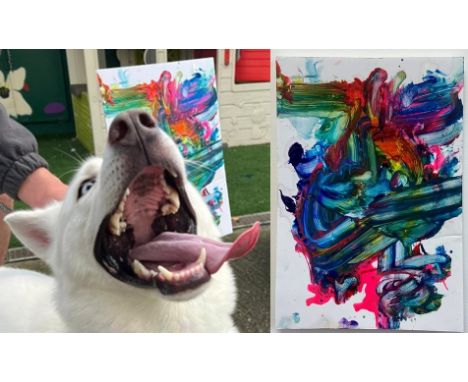 Major 
&lsquo;So Excited 1&rsquo;


Major wants his painting to be more than a mere painting; it is an experience&mdash;a vis
