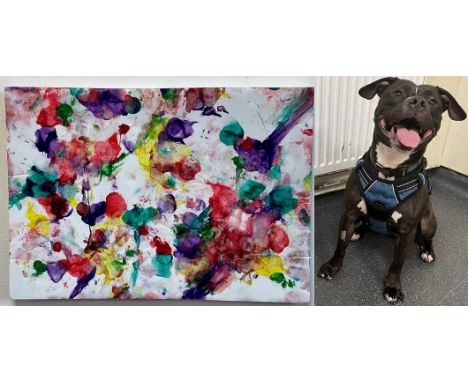 Luna
&lsquo;Paw-sibilities&rsquo;


Luna created this piece when thinking about the possibilities of her very own home. She u