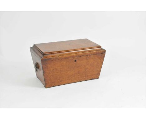 A large 19th century mahogany veneered sarcophagus shaped cellarette, with a hinged cover, flanked by cast metal lion mask an