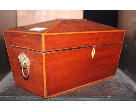 19TH CENTURY TEA CADDY