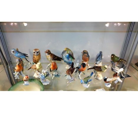 A quantity of Goebel porcelain bird figures, one bluebird group small loss to end of tail, the rest perfect, eighteen in tota