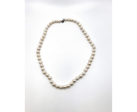 A cultured freshwater pearl choker, each individually knotted with a silver lobster claw clasp. Pearls 6.5mm to 7mm. 40cm. Bo