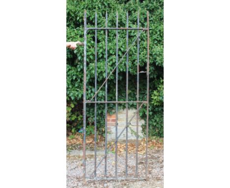 A BLACK PAINTED WROUGHT IRON GARDEN GATE with spiked top, approximately 82cm wide x 203cm high overall