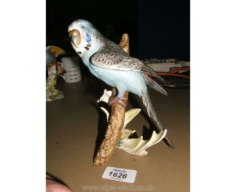 A Goebel Budgerigar
