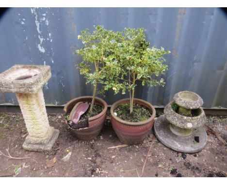 Two large ceramic planters 1 A/F, a concrete bird bath and a fountain style planter