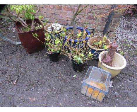 A selection of ceramic garden planters and hanging plants 