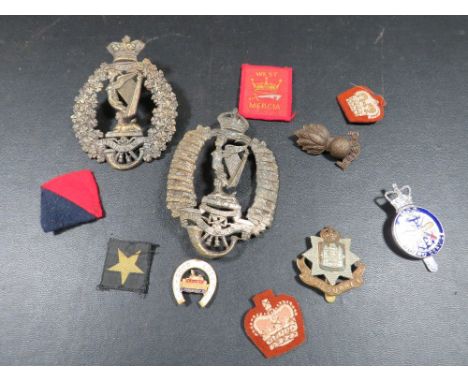 A bag of military badges, to include 2 Royal Irish Rifles helmet plates
