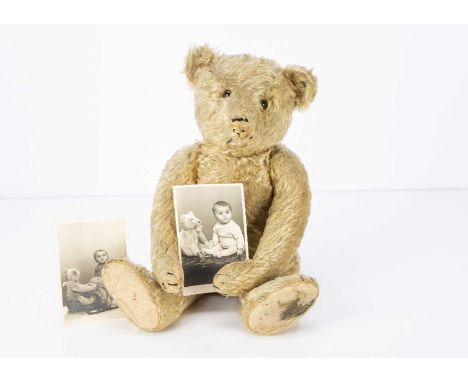 A 1930s Steiff Teddy Bear with family provenance including escaping during WW2 from Austria and photographs, with golden moha