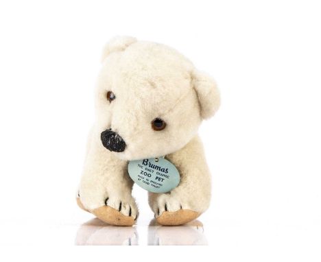 A fine Chad Valley Brumas polar bear cub The Daily graphic Zoo Pet circa 1950, with white wool plush, orange and black glass 