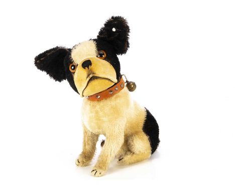 A rare Steiff seated Bully French Bulldog late 1920s, with black and white mohair, clear and black glass eyes with light brow