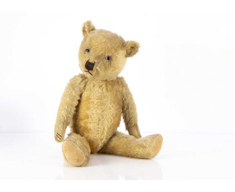 Croft-Castle - A 1930's Chiltern type Teddy Bear, with golden mohair, clear and black glass eyes with remains of painted back