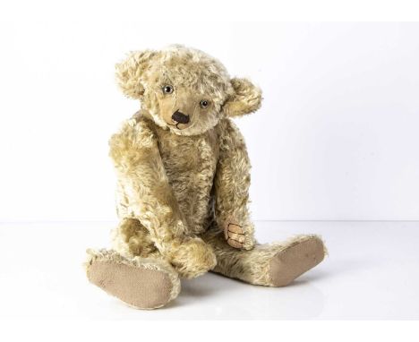 A large 1920s J K Farnell Teddy Bear, with blonde mohair, clear and black glass with remains of brown backs, pronounced clipp