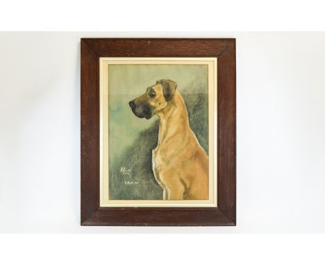 Illustration Interest Signed Original Watercolour And Chalk Pastel Portrait Of Great Dane By M. Alizon Edmonds A large canine