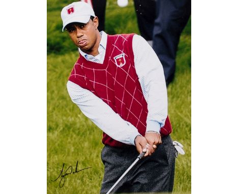 Tiger Woods signed colour photograph,the 15 by 11in. image portraying Woods playing a chip shot at the 2010 Ryder Cup, signed