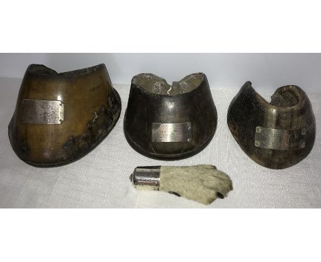 A dogs paw mounted in silver inscribed 'Old Tim' died Oct 1948 and 3 commemorative horses hooves with inscribed mounts includ