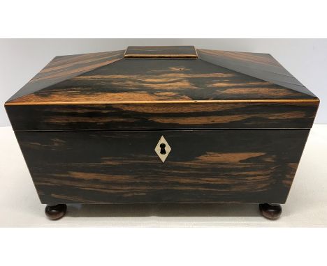 A 19thC coromandel wood sarcophagus shaped tea caddy on bun feet containing two lidded compartments. 17 h x 31 w x 16.5cms d.