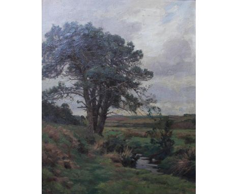 WILLIAM EVANS LINTON (1878-1941) A STUDY OF FIR TREES Signed, inscribed on labels on the frame, oil on canvas 75 x 58.5cm. ++