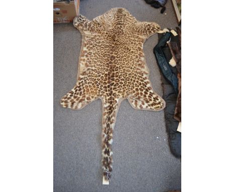 A taxidermy snow leopard /  Indian Leopard skin mounted onto felt - shot by Major Trevor Lewis Hopkins, major of the Indian A