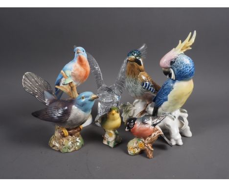 A Karl Ens model of a Cockatoo, 7 3/4” high, another Karl Ens model Jay, 6 1/2” high, six Crown Staffordshire model birds, a 