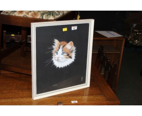A polychrome chalk portrait of a cat, signed J Bell, framed and glazed 