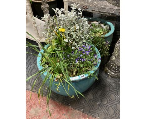 PAIR OF CERAMIC POTS WITH PLANTS