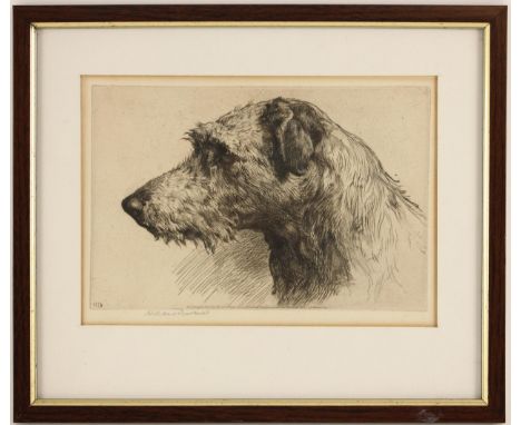 Herbert Thomas Dicksee RE (British, 1862-1942)‘A Scottish Deerhound’,Drypoint etching on paper, published 1924 by Frost & Ree