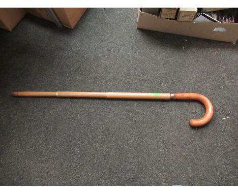 An umbrella/walking stick