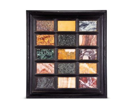 A FRAMED SET OF GRAND TOUR MARBLE SPECIMENS 19TH CENTURY AND LATER Each section of rectangular form, in a moulded ebonised fr