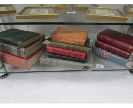 A quantity of vintage books including 'The Cabinet Album'