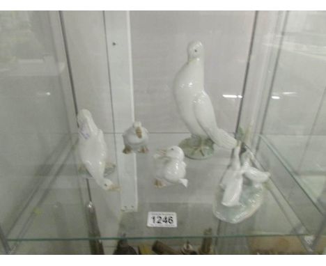 3 NAO geese, A NAO geese group and a NAO dove