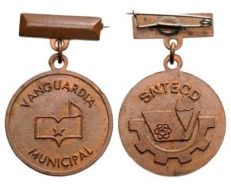 Breast Badge, 28 mm, Bronze, original suspension device. I