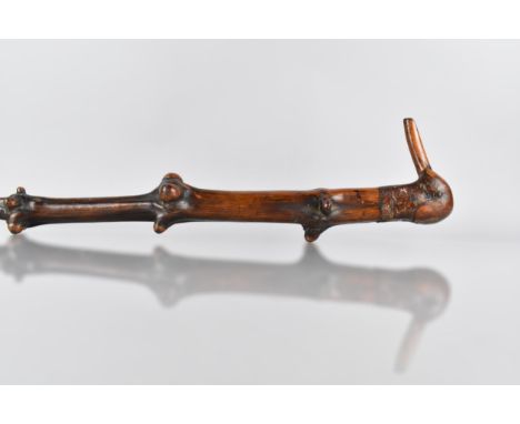 A Late 19th/Early 20th Century Root Wood Walking Stick with Duck Head Handle, 88cm Long 