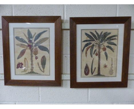 Antique Botanical etching depicting Banana trees with cross cut sections of the Fruit and leaves. Mounted in antique style fr
