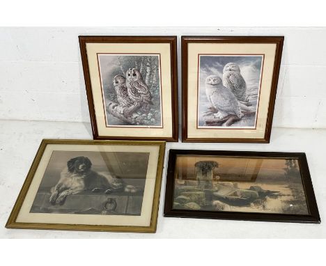Two Franklin Gallery signed prints of owls by Raymond Watson along with a print of a Newfoundland dog and one other 