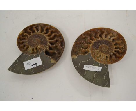 A sliced ammonite, now in two halves, each approx. 15cm long, (2)