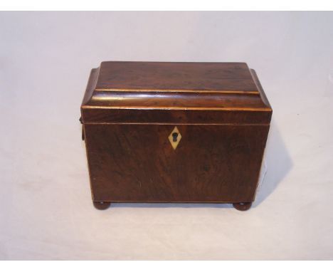 An early 19th century burr yew wood sarcophagus shape Tea Caddy with ivory key plate, lion mask ring handles, and the interio