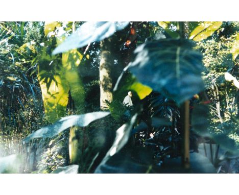 SAMUEL LAURENCE CUNNANE (B.1989)Man in Botanical Garden, Hamburg, 2014Hand-printed C-type print on archival photo paper, 16.7