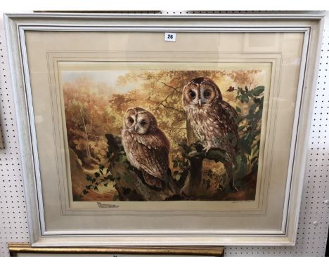Arthur Spencer Roberts (1920-1997) - Barn Owls, colour print, signed and blindstamped below, 42 x 60 cm, mounted, framed and 