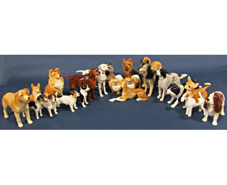 A large quantity of ceramic dogs by Sylvac, various breeds to include Afghan, Pomeranian, Setters, Retriever, etc, in various