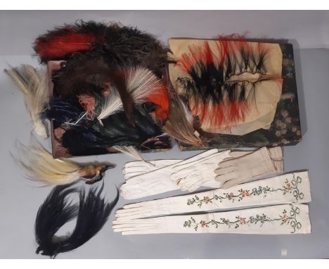 Two Edwardian Bird of Paradise headpieces or milliner's accessories together with a decorative box filled with various feathe