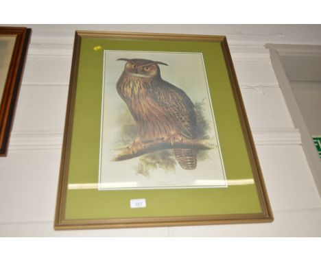 An original lithograph "Eagle Owl" by Edward Lear printed on fabric by Cashes Fine Art Textiles