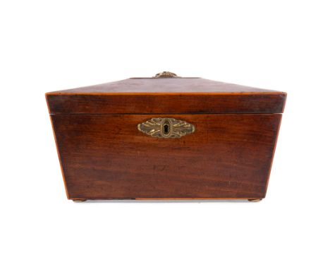 EARLY 19TH CENTURY MAHOGANY TEA CADDY, of sarcophagus form, the hinged cover with brass hoop handle, brass escutcheon, the in