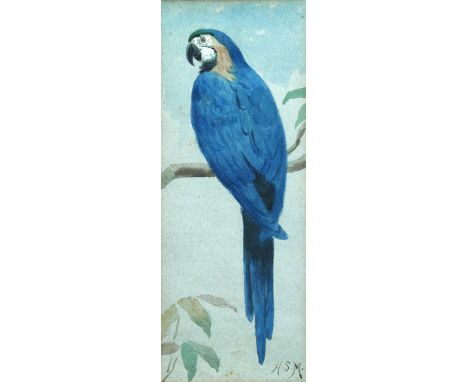 Henry Stacy Marks, RA, RWS, HRCA (British, 1829-1898) Study of a Hyacinth Macaw signed lower right with initials "HSM" waterc