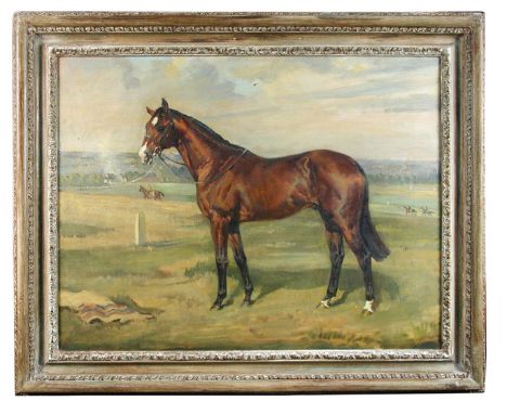 § Nina Colmore (British, 1889-1973) Our Babu, a bay racehorse, by "My Babu" out of "Glen Line", the property of David Robinso