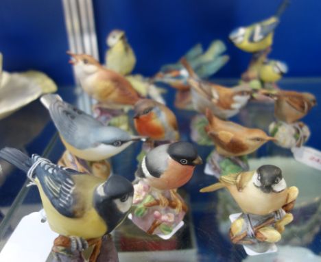 ROYAL WORCESTER; A LARGE COLLECTION OF CERAMIC BIRDS, to include, Hedge Sparrow and Great Tit (12)