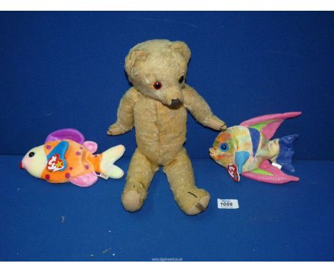 An old jointed Merrythought teddy bear from the 1950's and two "Beanie" baby fishes.