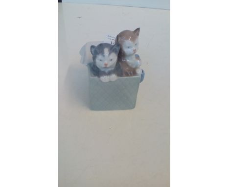 Nao Kitten Group